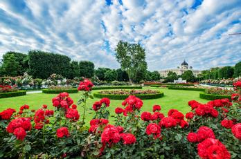 Hotel Secession an der Oper  | Vienna | Photo Gallery - 3