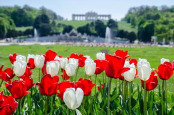 Hotel Secession an der Oper  | Vienna | Photo Gallery - 13